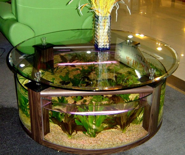 akvarium-v-zhurnalnom-stolike