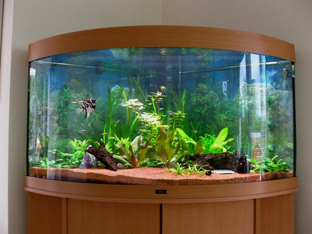 стекло для аквариума
