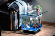 Обновление стекла аквариума