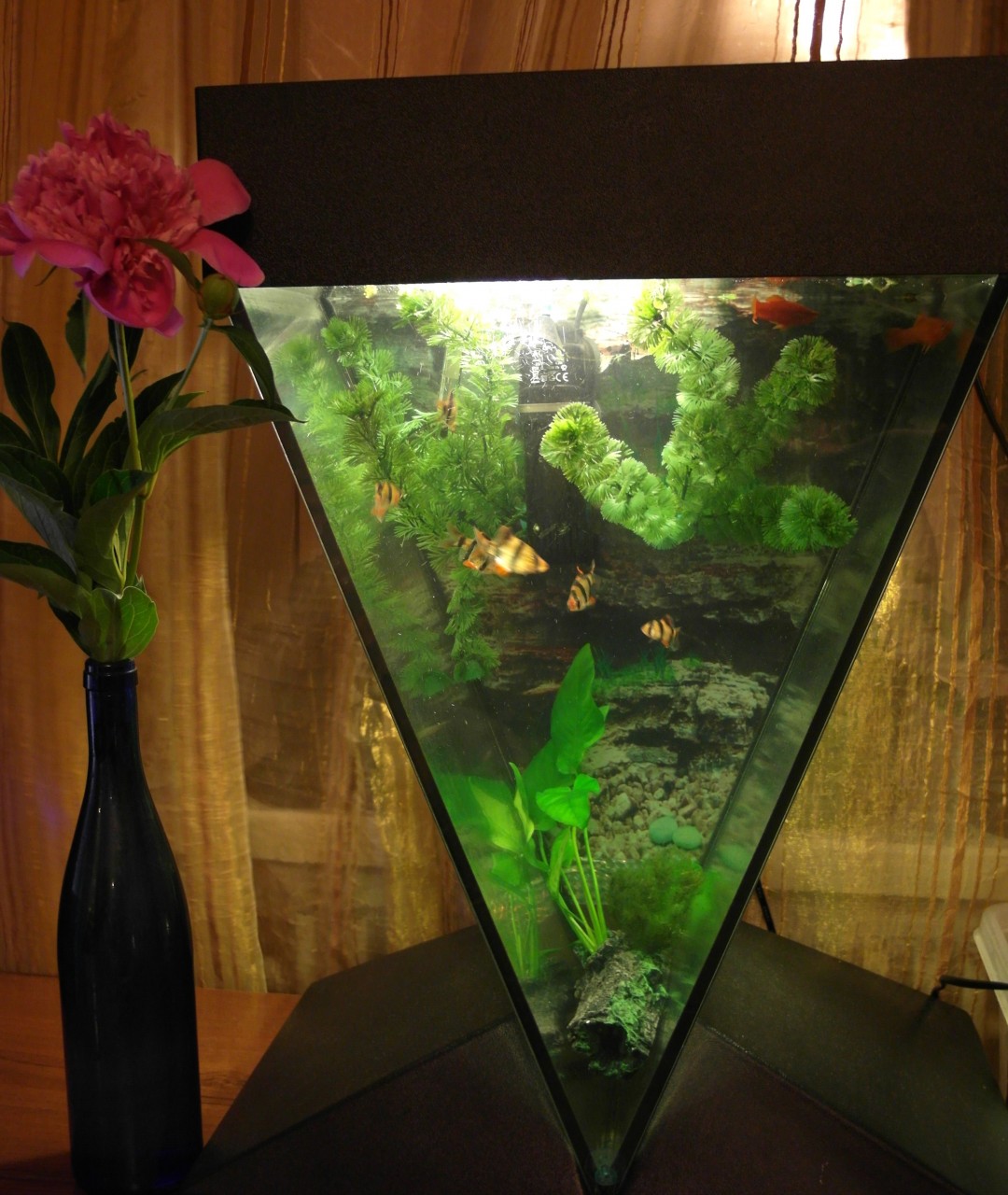 Треугольный аквариум
