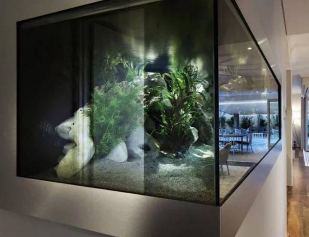 стекло для аквариума 