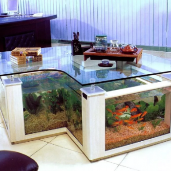 Есть ли смысл в полировке стекла аквариума?