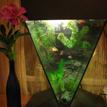 Выбираем стекло для аквариума?